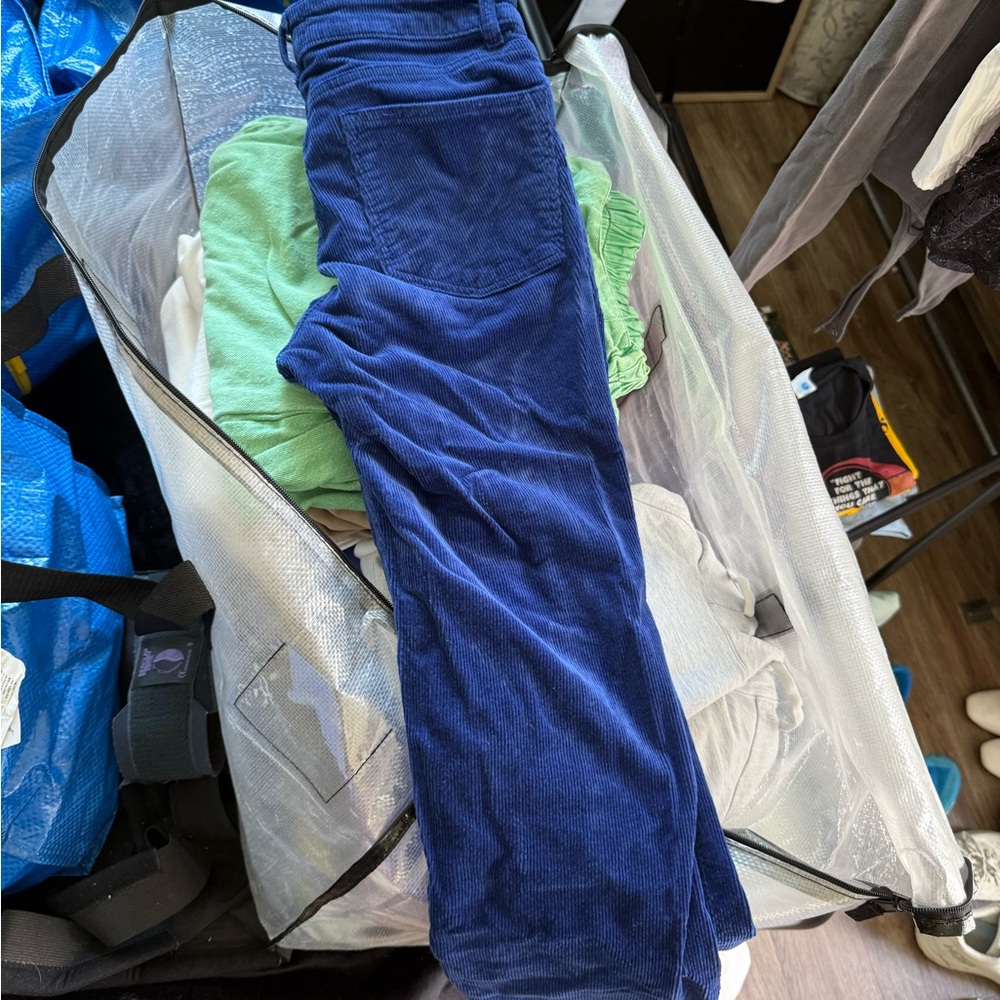 Pilcro Royal Blue Corduroy Trousers